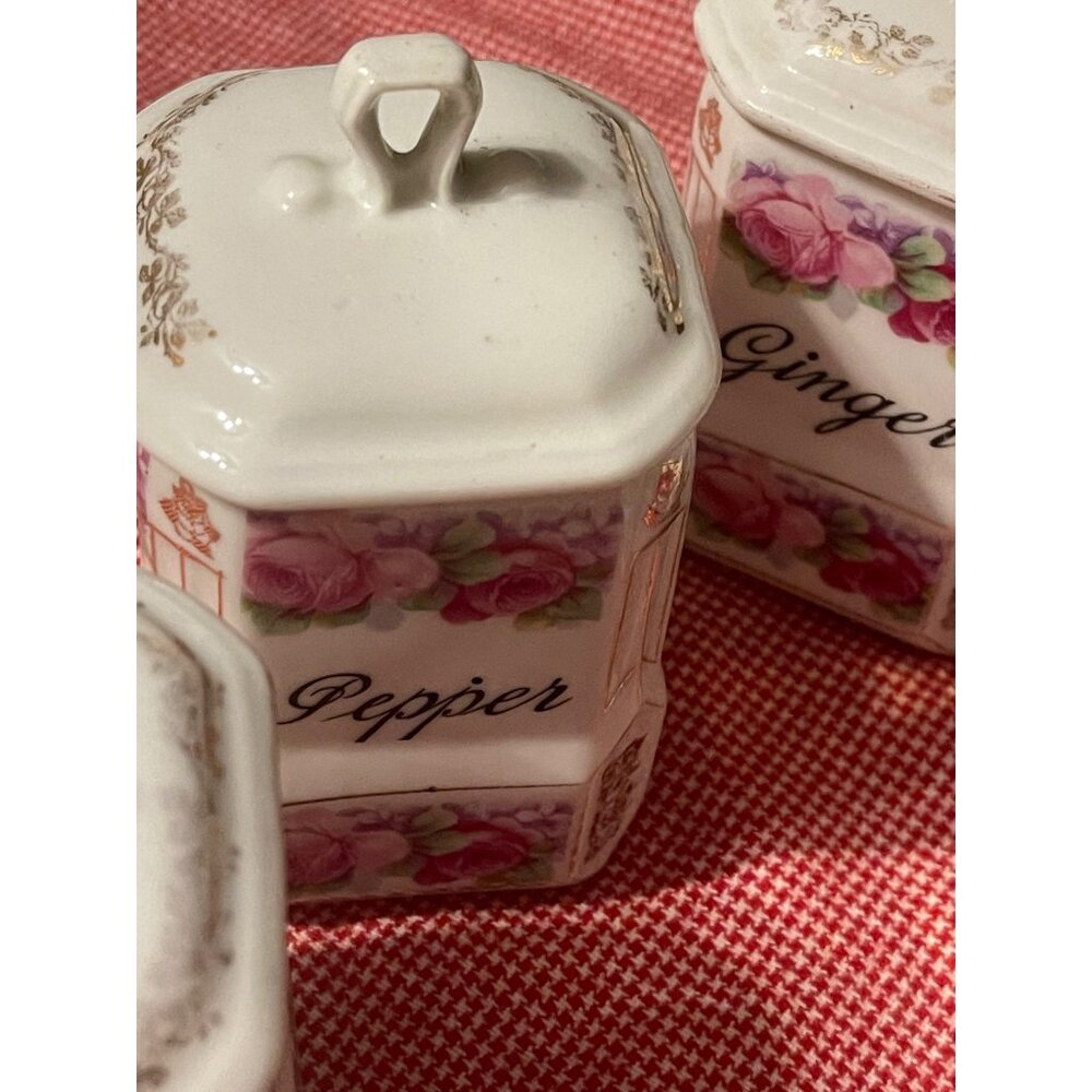 Victoria Checho - Slavakia Spice Cannisters China Pink Roses Six